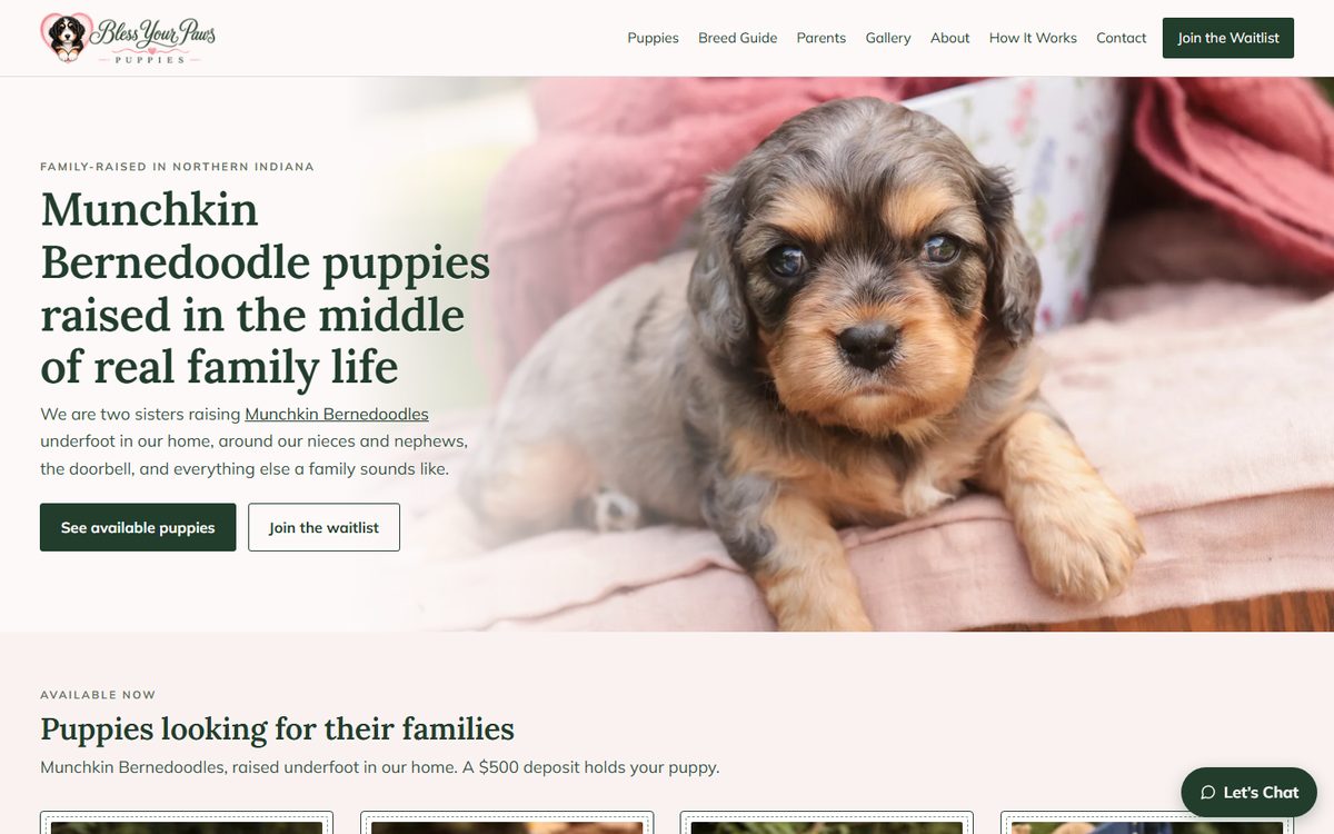 The live Bless Your Paws homepage